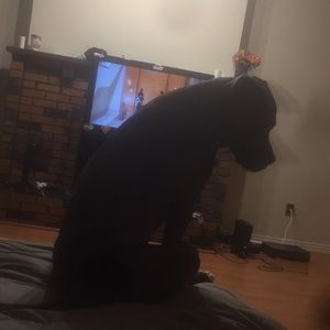 Meet your Posher, Sandeep